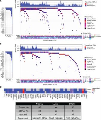 The Landscape of Actionable Genomic Alterations by Next-Generation Sequencing in Tumor Tissue Versus Circulating Tumor DNA in Chinese Patients With Non-Small Cell Lung Cancer